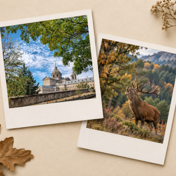 Berrea, Senda Ecológica, Bosque de la Herrería y gastronomía de toda la vida en San Lorenzo de El Escorial